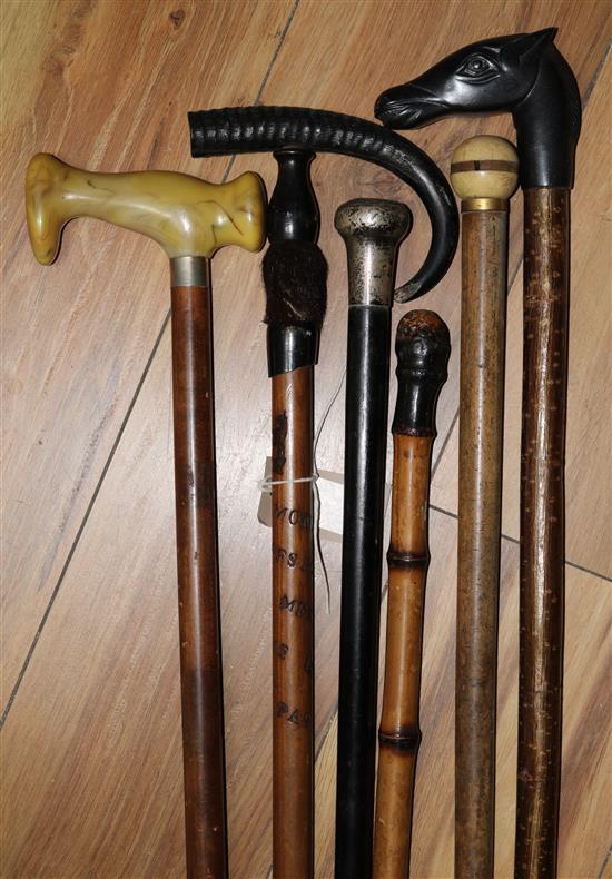 Six walking sticks - various